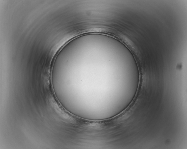 X0000113091178200909111020