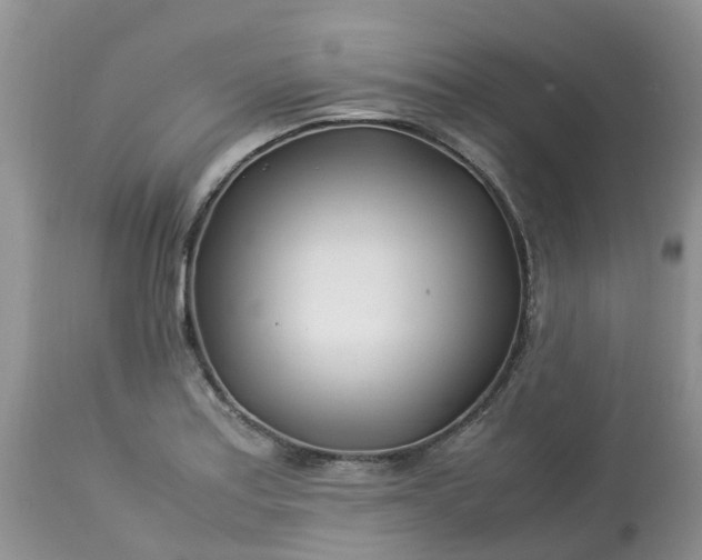 X0000113091179200909111020