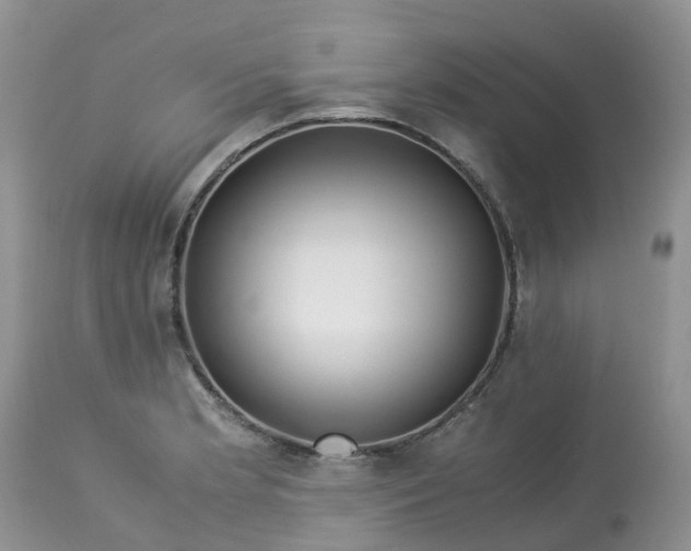 X0000113091181200909111020