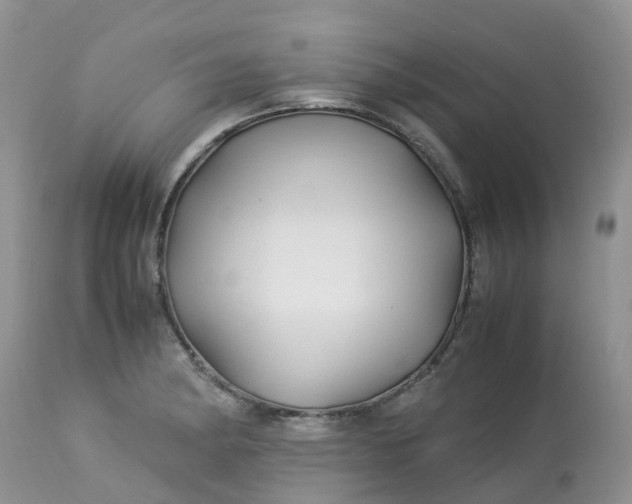 X0000113091182200909111020