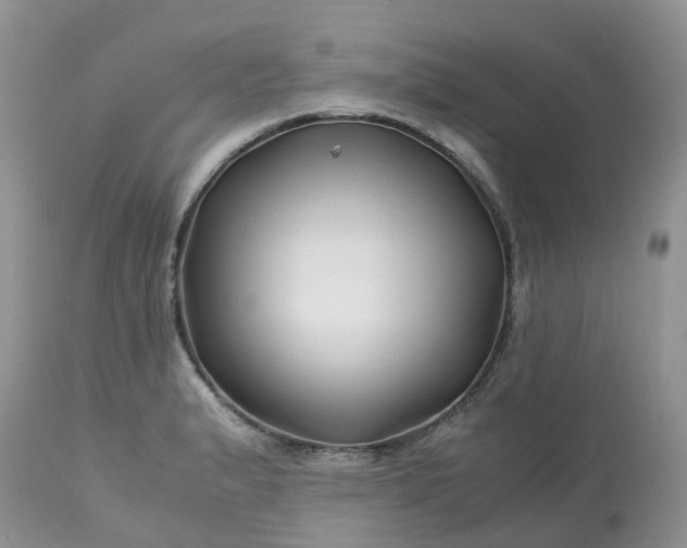 X0000113091183200909111020