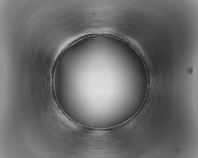 X0000113091184200909111020