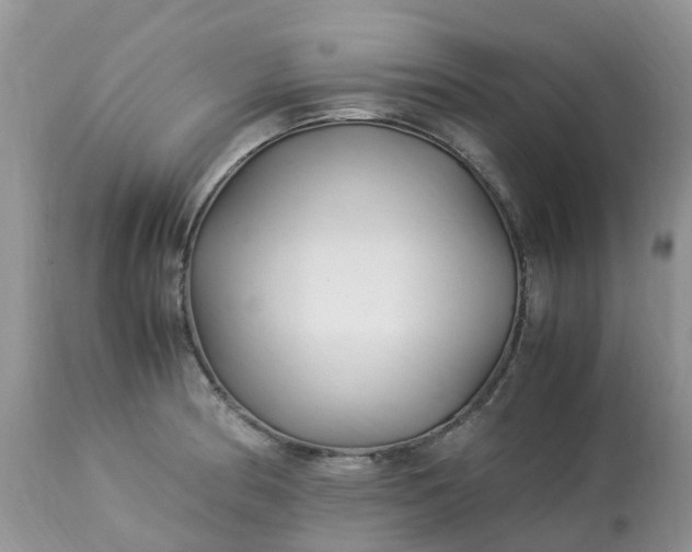 X0000113091186200909111020