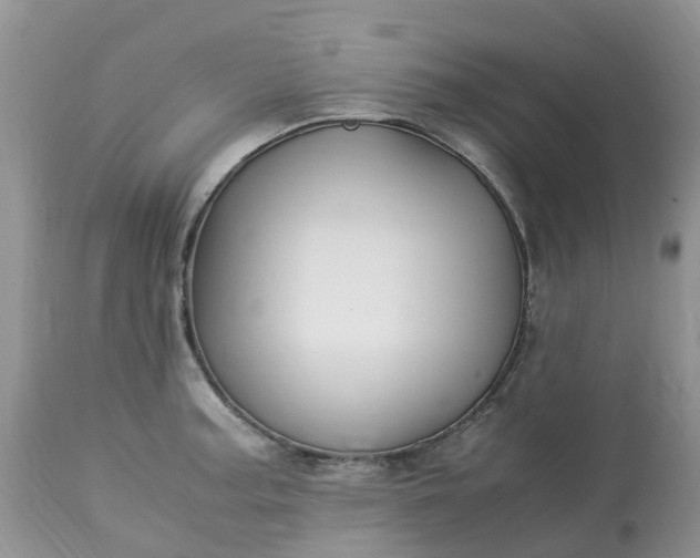 X0000113091187200909111020