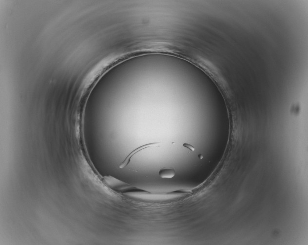 X0000113091188200909111020