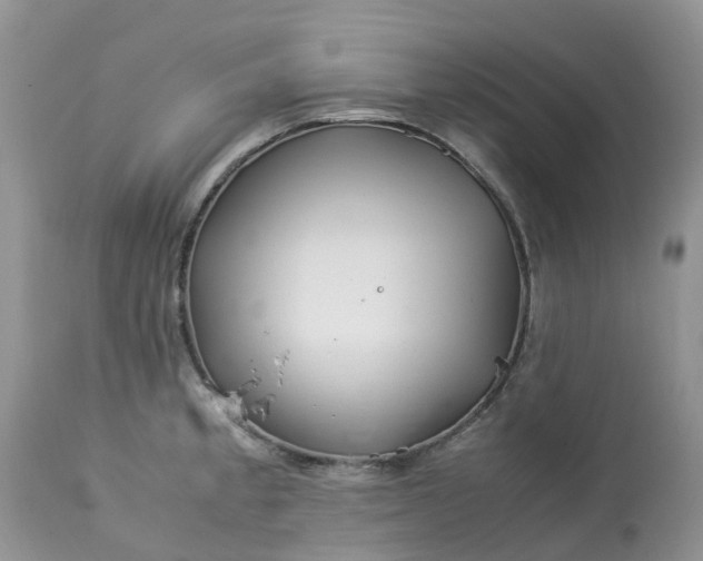 X0000113091189200909111020