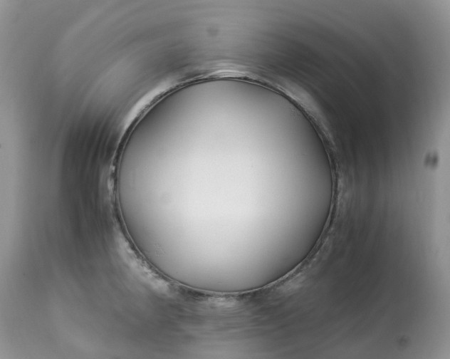 X0000113091190200909111020