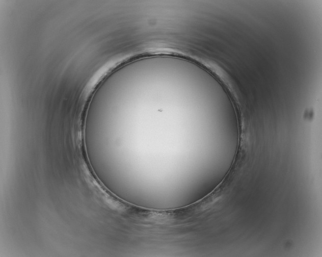 X0000113091191200909111020