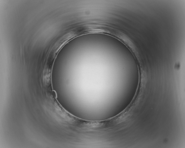 X0000113091193200909111020