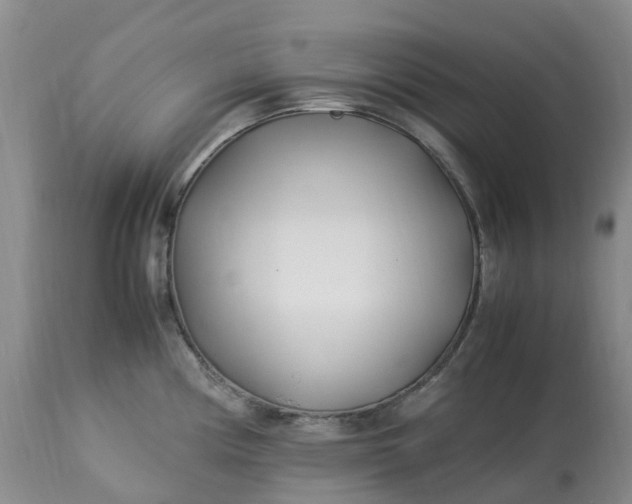 X0000113091194200909111019