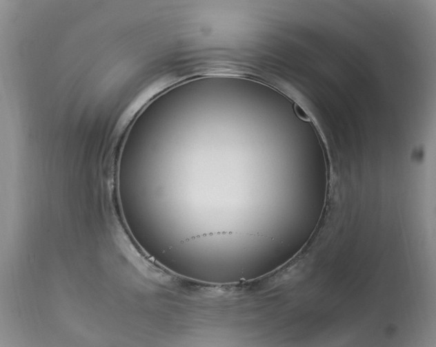 X0000113091195200909111019
