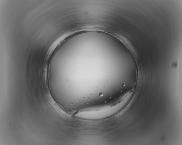 X0000113091196200909111019