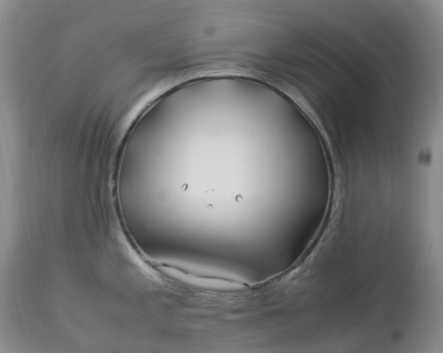 X0000113091197200909111019