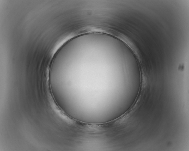 X0000113091198200909111019