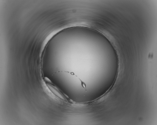 X0000113091200200909111019