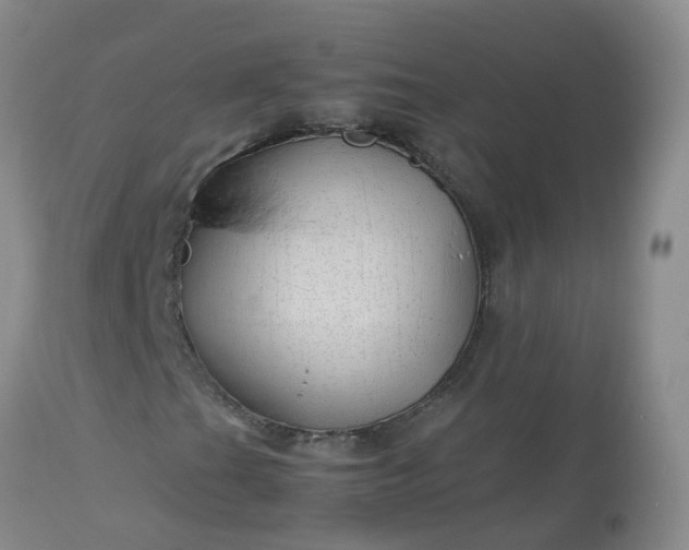 X0000113091201200909111019