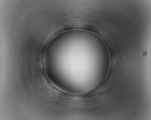 X0000113091202200909111019
