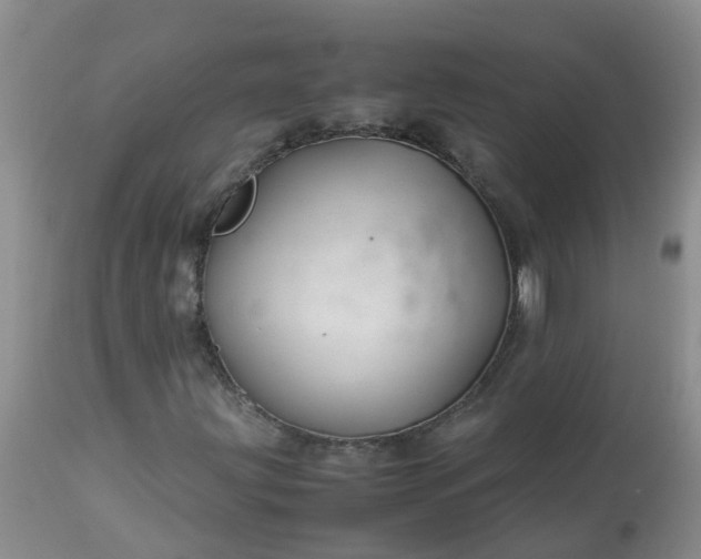 X0000113091203200909111019