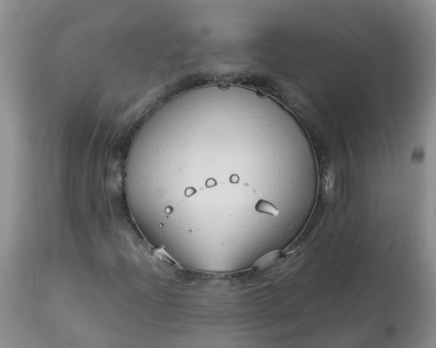X0000113091204200909111019