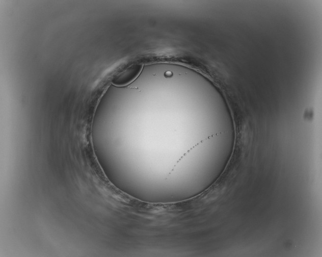X0000113091205200909111019