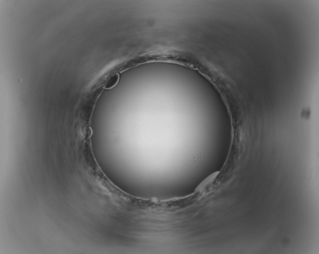 X0000113091206200909111019