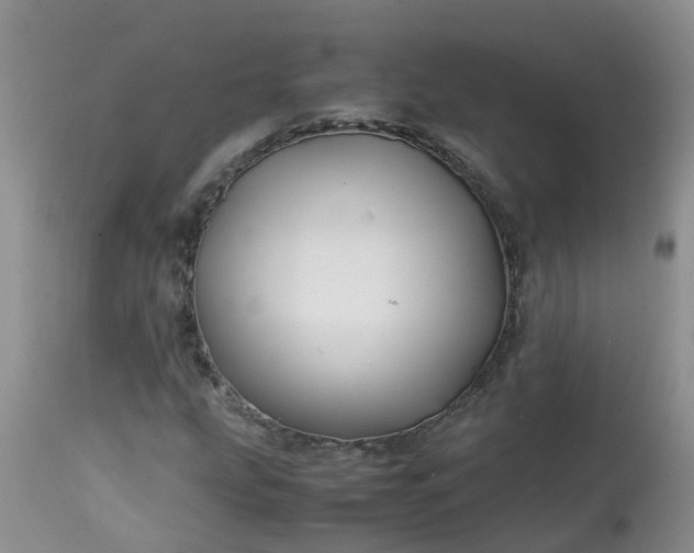 X0000113091207200909111019