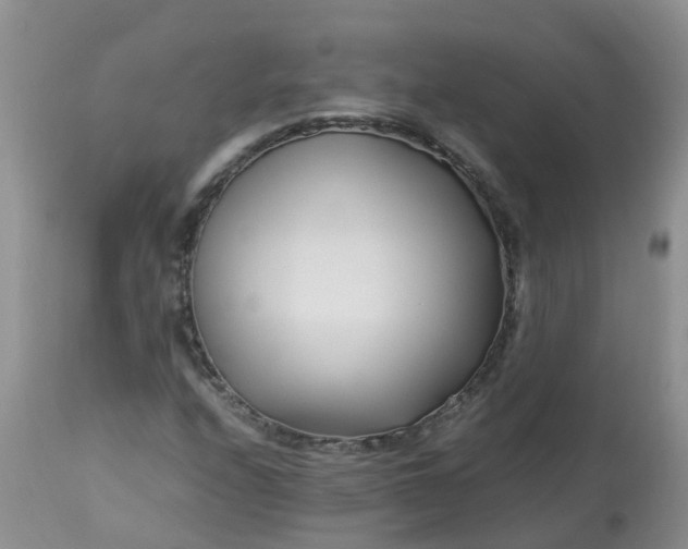 X0000113091208200909111019