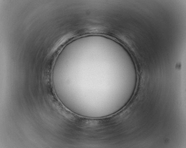 X0000113091211200909111019