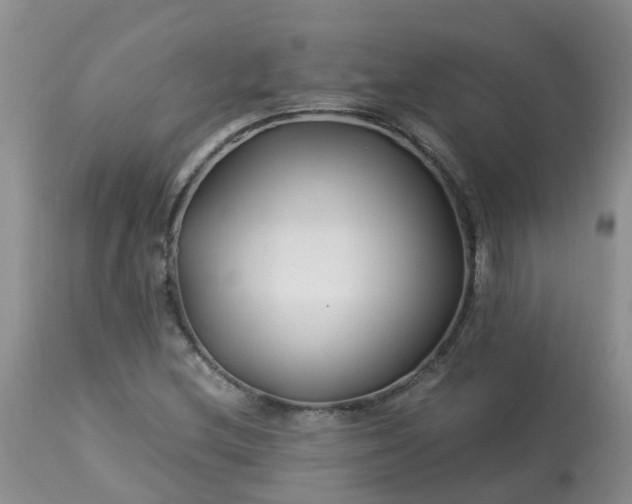 X0000113091212200909111019