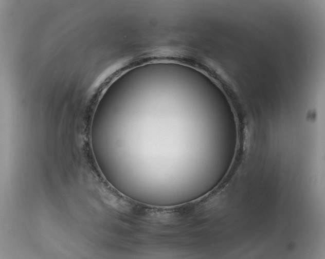 X0000113091213200909111019