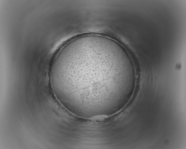 X0000113091214200909111019