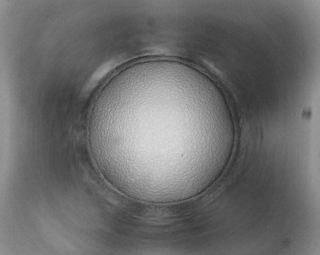 X0000113091215200909111019