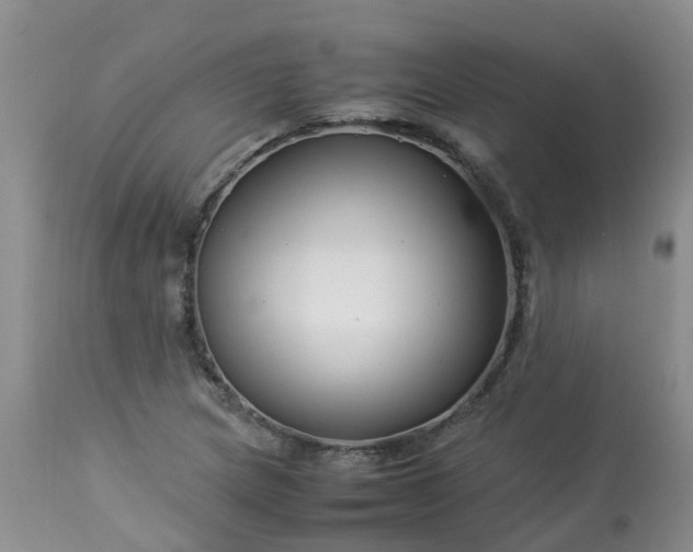 X0000113091217200909111019