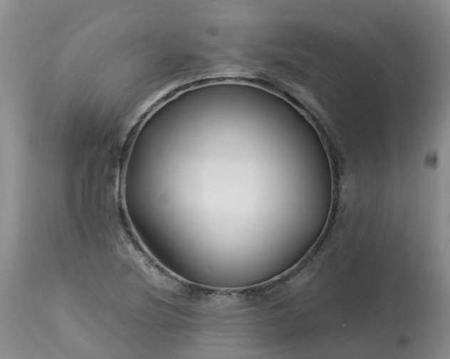 X0000113091220200909111019
