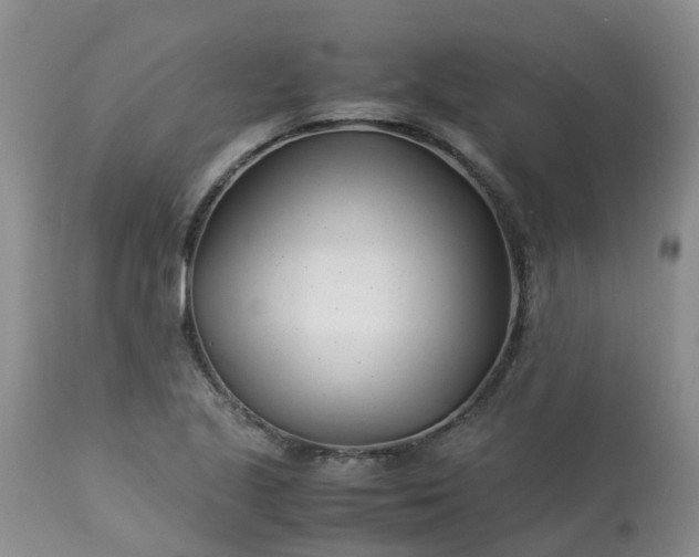 X0000113091221200909111019