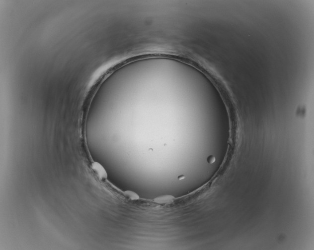 X0000113091222200909111019