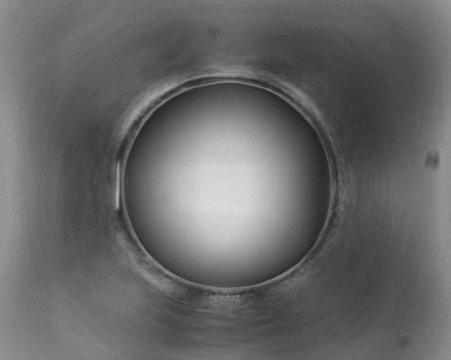 X0000113091223200909111019