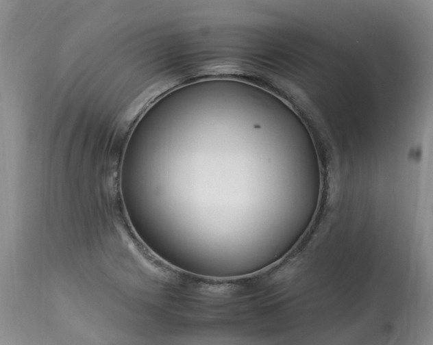 X0000113091225200909111019