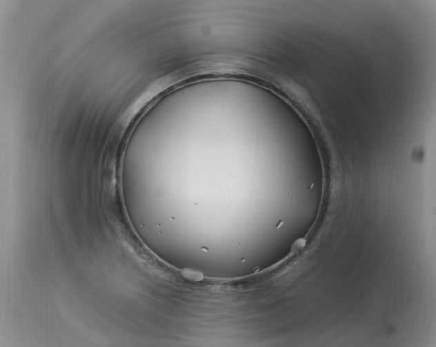 X0000113091226200909111019