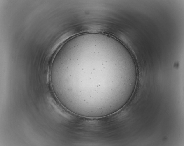 X0000113091227200909111019