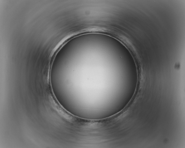 X0000113091228200909111019