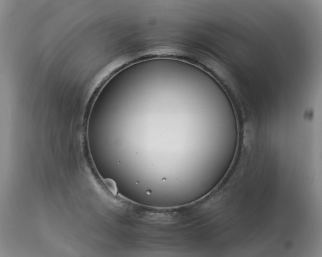 X0000113091229200909111019