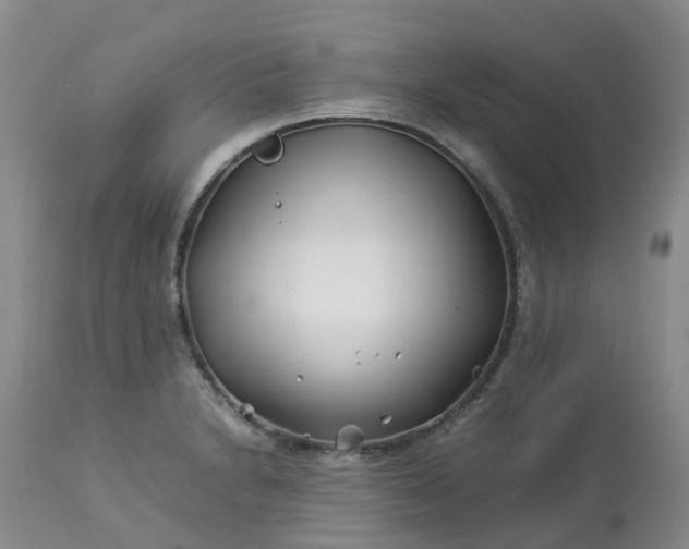 X0000113091230200909111019