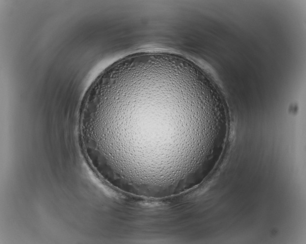X0000113091231200909111019