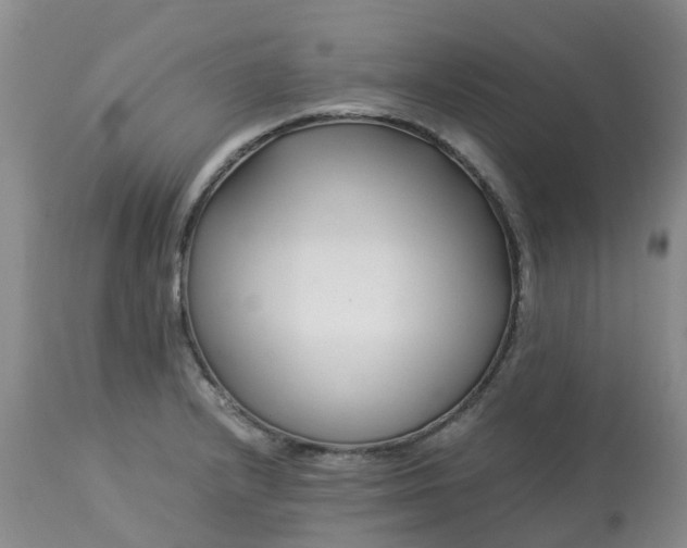 X0000113091232200909111019