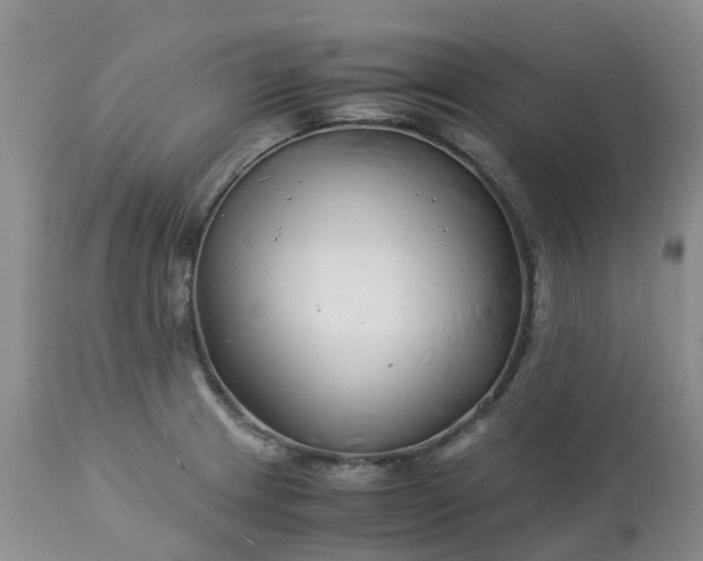 X0000113091233200909111019