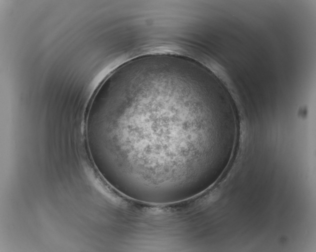 X0000113091234200909111019