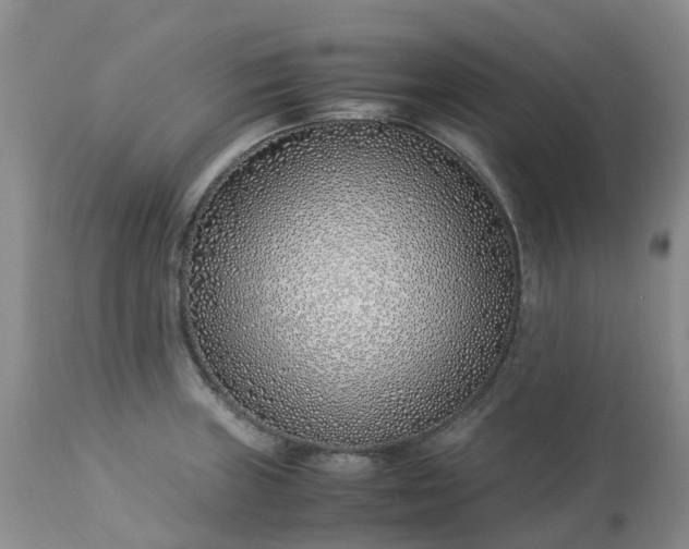 X0000113091235200909111019