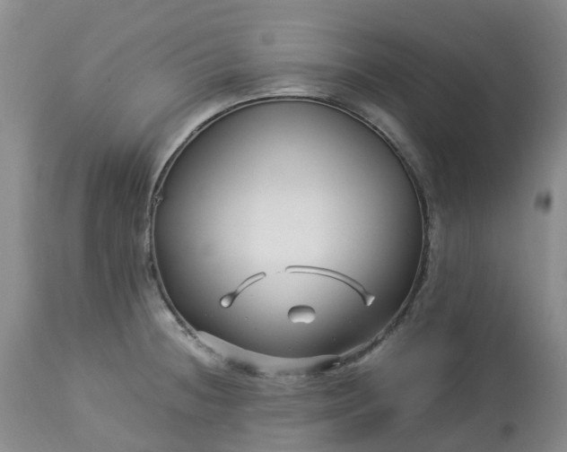 X0000113091236200909111019
