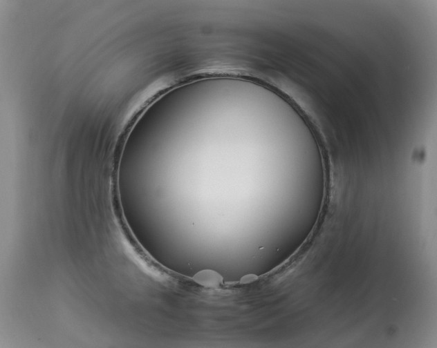 X0000113091237200909111019